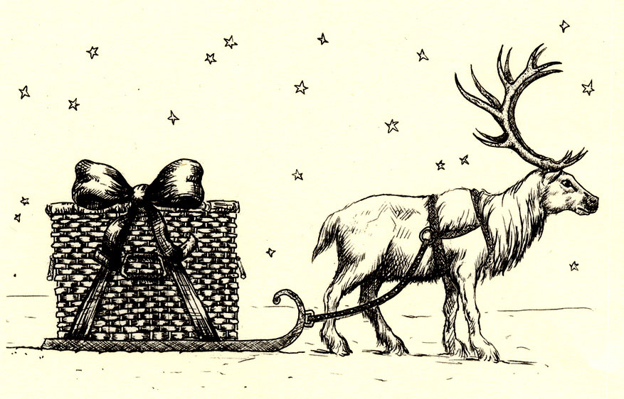 reindeer illustration
